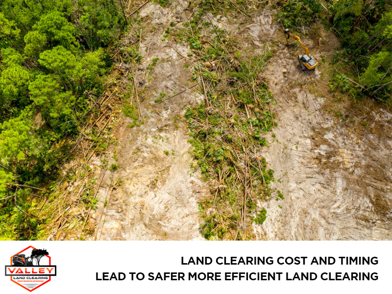 Land Clearing Cost and Timing