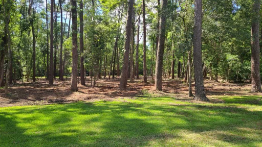 Forestry Mulching First Steps